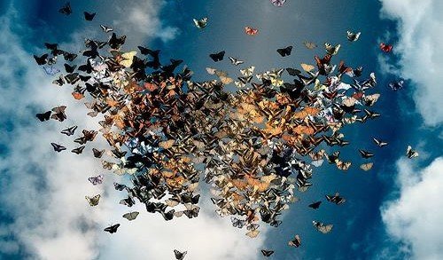 I 5 consigli per rendere ognuno di noi… dono! I 5 consigli per rendere ognuno di noi… dono!