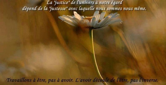 La legge d’attrazione La legge d’attrazione