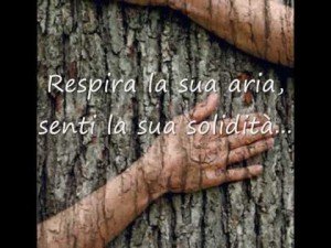 AbbracciareAlberi_3
