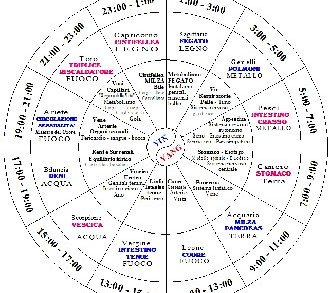 Orario circolazione energia nei Meridiani Orario circolazione energia nei Meridiani
