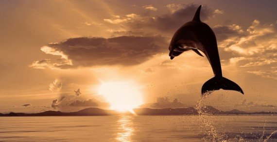 Tra sogno e realtà Tra sogno e realtà