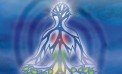 L’albero della vita L’albero della vita