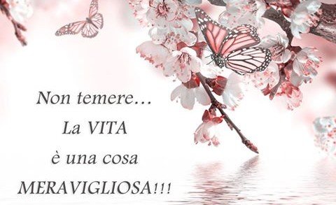 Fai ogni cosa con allegria Fai ogni cosa con allegria
